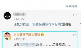 网红黑料网站,揭开网络红人背后的真相