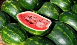 北京朝阳吃瓜.吃瓜视频反差合集,朝阳吃瓜，反差萌视频大集合